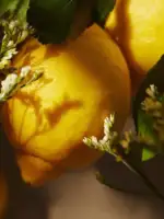 8 1