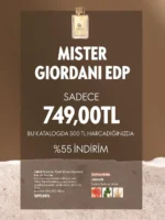 8 1