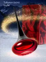 oriflame aralik 2025 katalogu 15