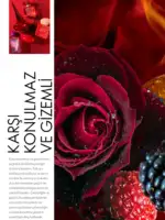 oriflame subat 2026 katalogu 34