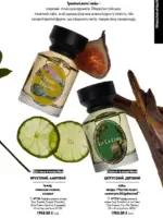 oriflejm katalog 13 2026 53